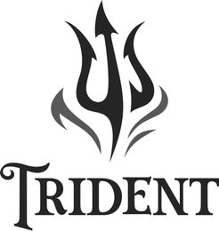TRIDENT logo