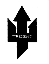 TRIDENT logo