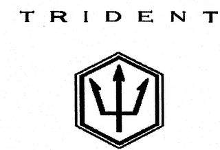 TRIDENT logo