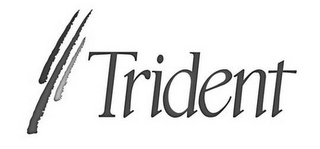 TRIDENT logo