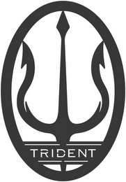 TRIDENT logo