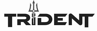 TRIDENT logo