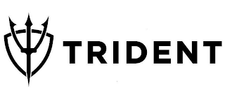 TRIDENT logo