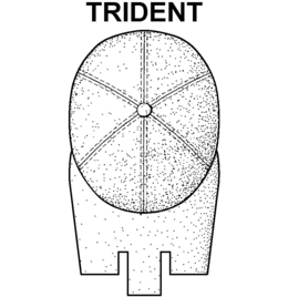 TRIDENT logo