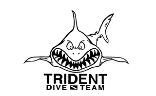 TRIDENT DIVE TEAM logo