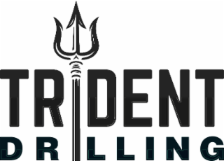 TRIDENT DRILLING logo
