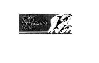 TRIDENT ENVIRONMENTAL SYSTEMS logo