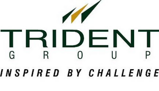 TRIDENT GROUP INSPIRED BY CHALLENGE logo