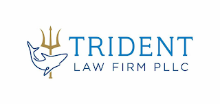 TRIDENT LAW FIRM PLLC logo