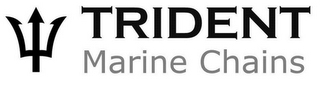 TRIDENT MARINE CHAINS logo