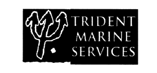 TRIDENT MARINE SERVICES logo