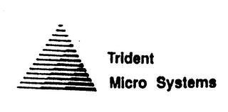 TRIDENT MICRO SYSTEMS logo