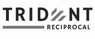 TRIDENT RECIPROCAL logo