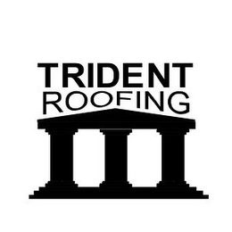TRIDENT ROOFING logo