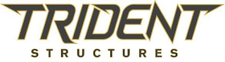 TRIDENT STRUCTURES logo