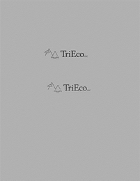 TRIECO LLC logo