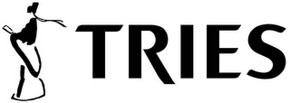 TRIES logo