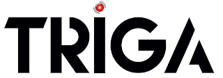 TRIGA logo