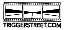 TRIGGERSTREET.COM logo