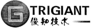 TRIGIANT logo