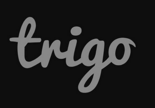 TRIGO logo