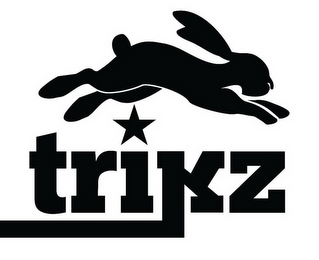 TRIKZ logo