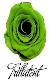 TRILLATENT logo