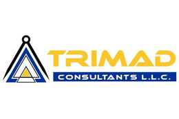 TRIMAD CONSULTANTS L.L.C. logo