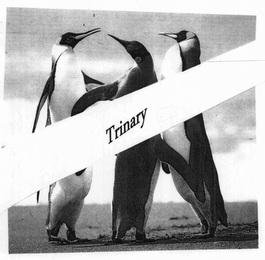 TRINARY logo