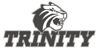 TRINITY logo