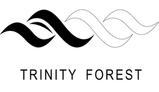 TRINITY FOREST logo