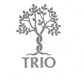 TRIO logo
