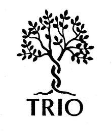 TRIO logo