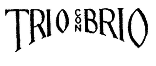 TRIO CON BRIO logo