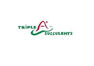 TRIPLE A+ SUCCULENTS logo