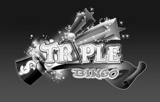 TRIPLE BINGO logo