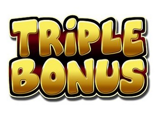 TRIPLE BONUS logo