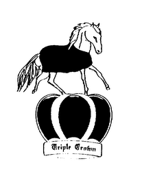 TRIPLE CROWN logo