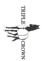 TRIPLE CROWN logo