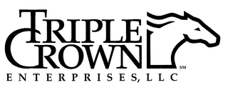 TRIPLE CROWN ENTERPRISES, LLC logo
