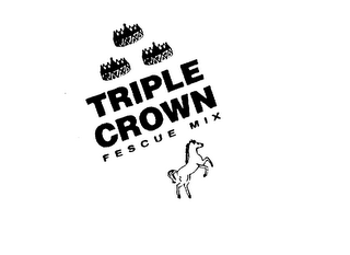 TRIPLE CROWN FESCUE MIX THE THOROUGHBRED OF TURF TYPE FESCUE MIXES logo