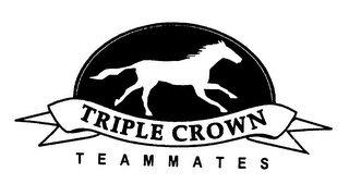 TRIPLE CROWN TEAMMATES logo