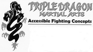 TRIPLE DRAGON MARTIAL ARTS ACCESSIBLE FIGHTING CONCEPTS logo