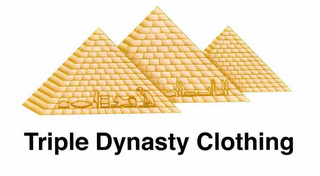 TRIPLE DYNASTY CLOTHING logo