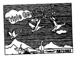 TRIPLE GOOSE DOWN U.S.A.