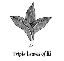TRIPLE LEAVES OF KI logo