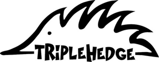 TRIPLEHEDGE logo