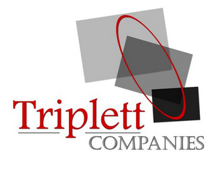 TRIPLETT COMPANIES logo