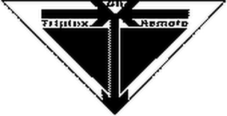 TRIPLEX ON REMOTE logo