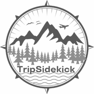 TRIPSIDEKICK